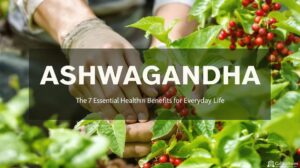 Ashwagandha : les 7 bienfaits essentiels pour la santé au quotidien
