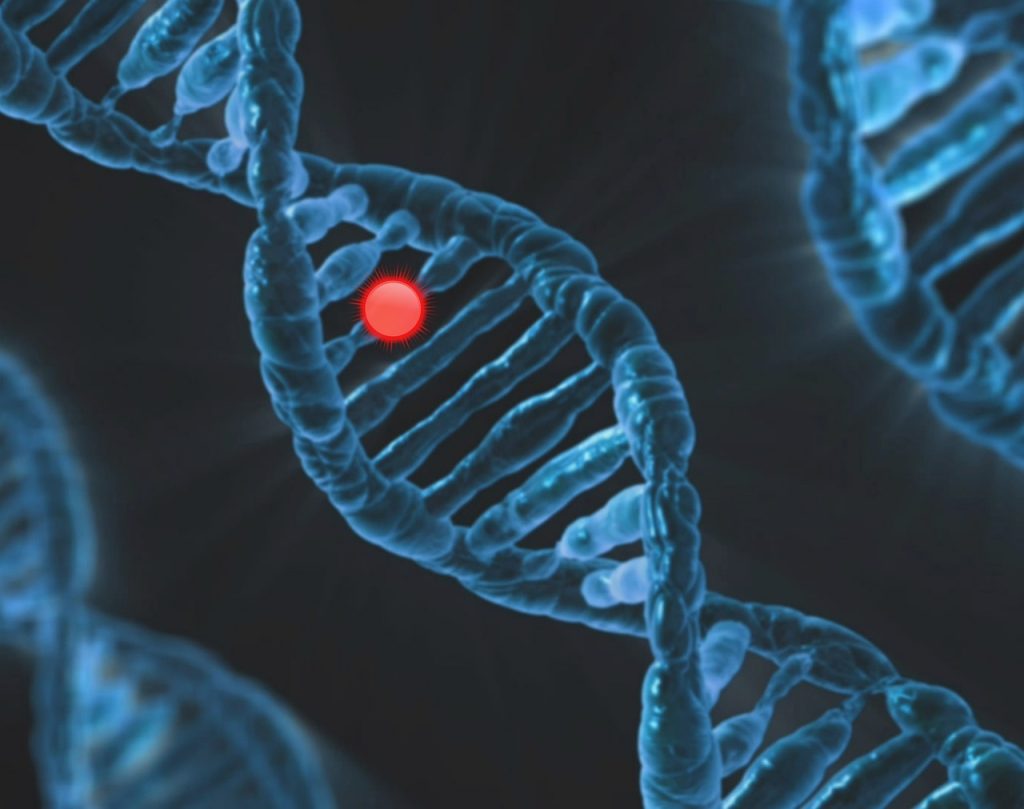 comment faire pour demander un test adn en france