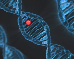 Comment faire pour demander un test ADN en France : les trois voies expliquées simplement